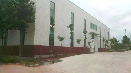 金山新动力 技术改造引领企业发展新动能